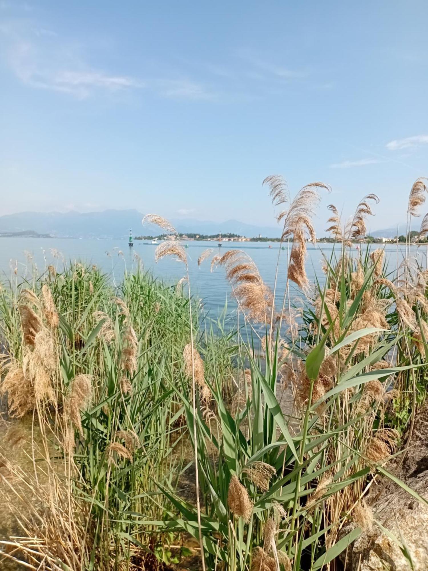 Miragarda Sirmione Apartment Bagian luar foto